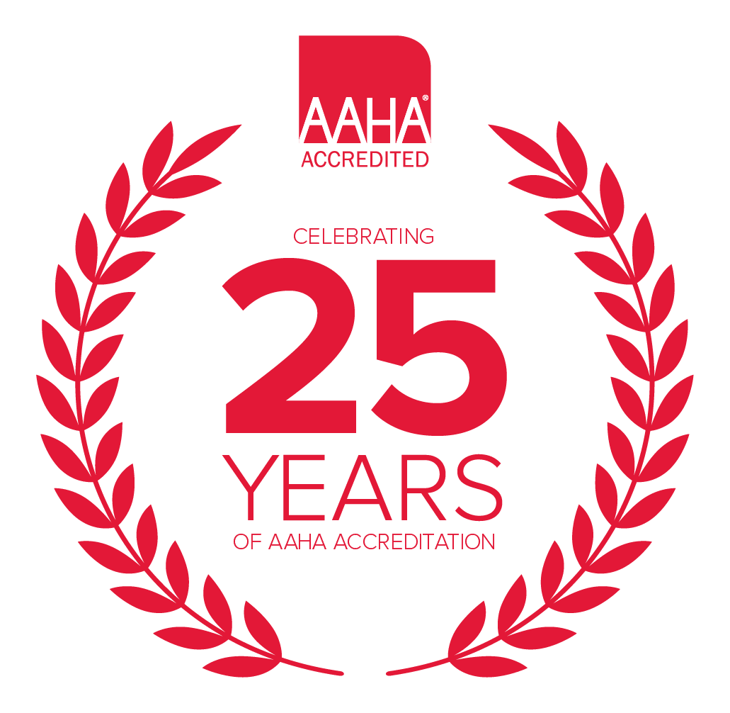 Selkirk Veterinary Hospital | Nelson