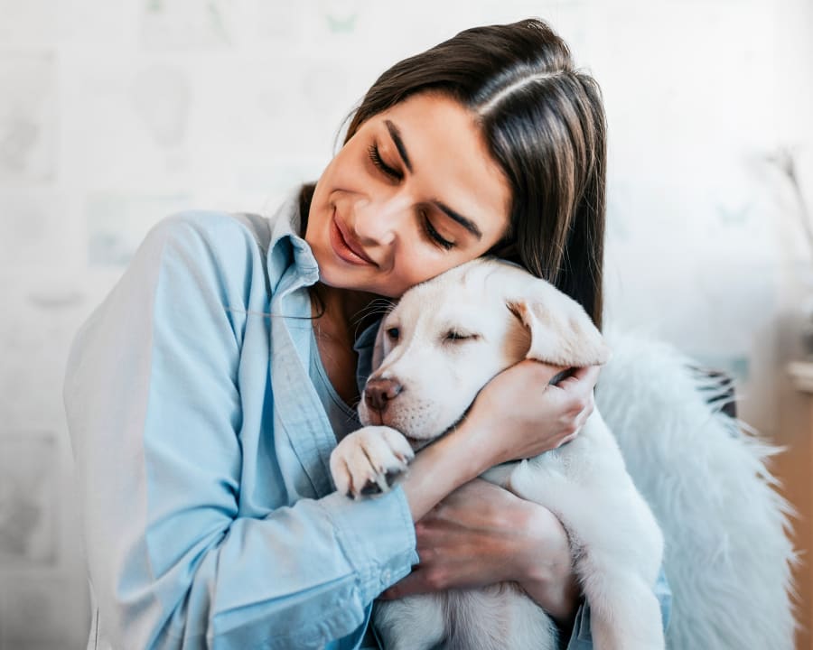 Cold Laser Therapy, Nelson Veterinarians