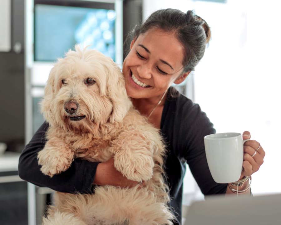 Cat & Dog Wellness Exams, Nelson